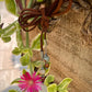 45” Medium Brown Suede Lariat with Jasper Stone