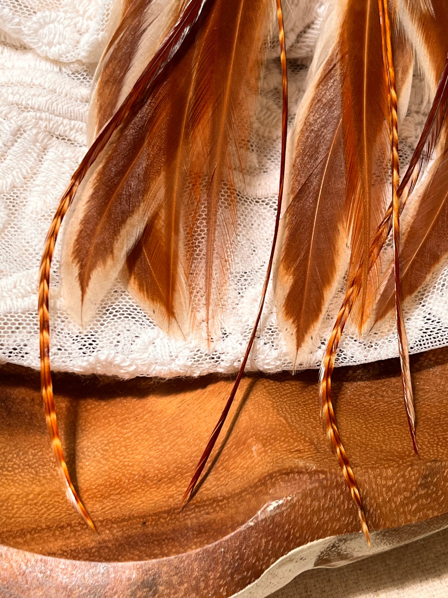 Rust & Cream Feather Earrings with Turquoise Howlite