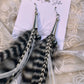 10.5" Grizzly Grey & White Feather Earrings with Hematite